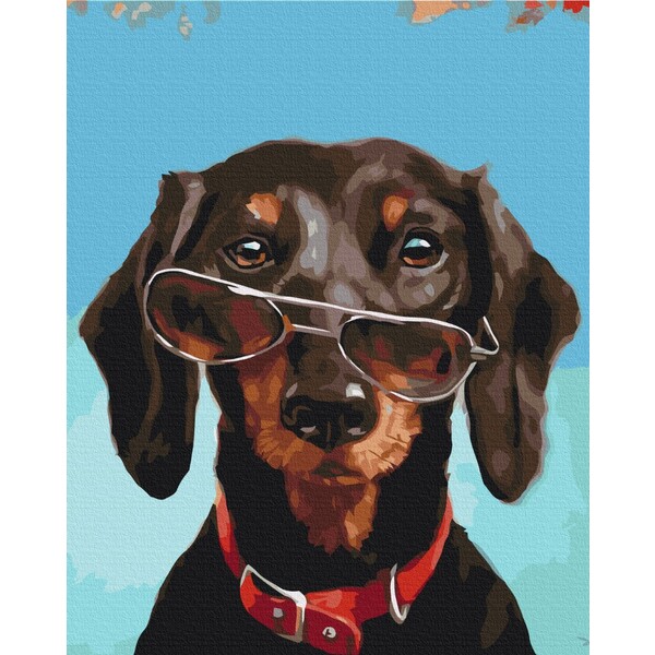 Pictură pe numere 40*50 cm (în cutie) – Pancho