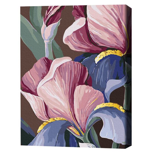 Cumpara  Creativitate/Logică - Pictură pe numere 40*50 сm (în cutie) – Biluh..