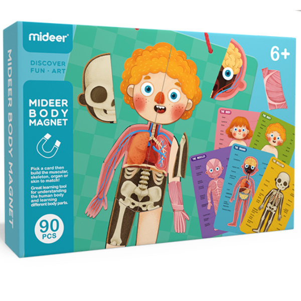 Puzzle magnetic „Corpul uman”, 90 elem.