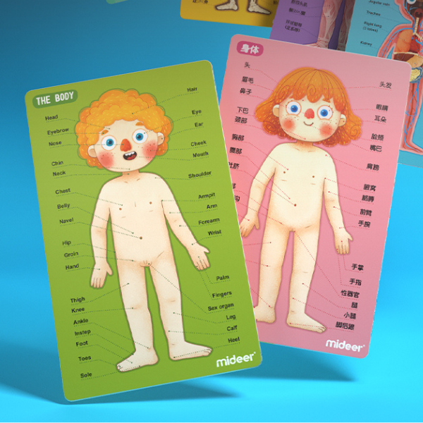 Puzzle magnetic „Corpul uman”, 90 elem.