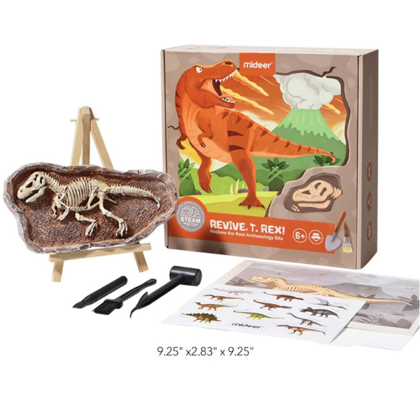 Setul micului arheolog „Revelarea lui T-Rex”