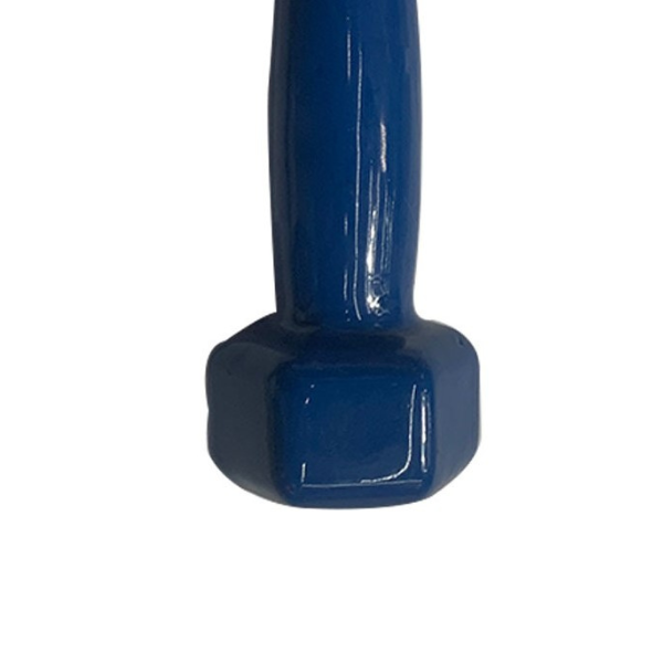 Ganteră pentru fitness,1 buc * 1 kg