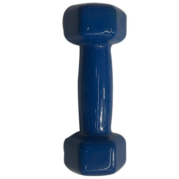 Ganteră pentru fitness,1 buc * 1,5 kg