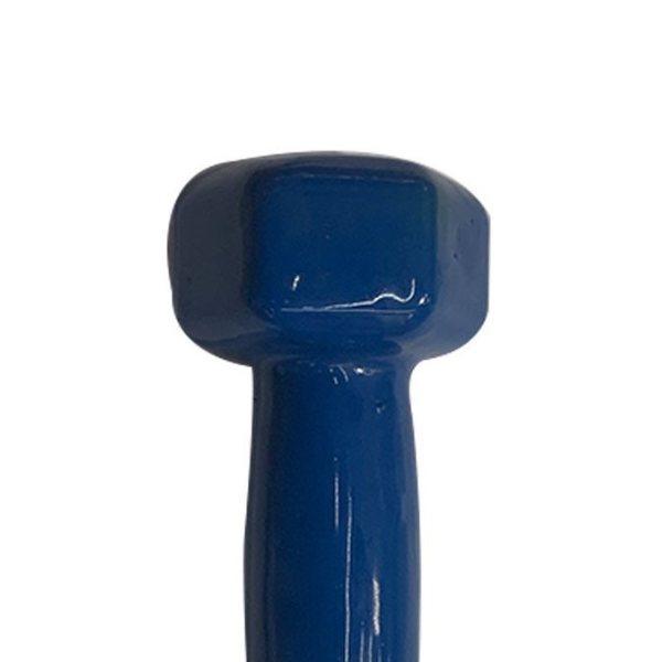 Ganteră pentru fitness,1 buc * 1,5 kg