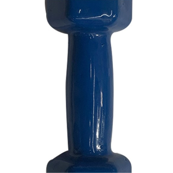 Ganteră pentru fitness,1 buc * 1,5 kg