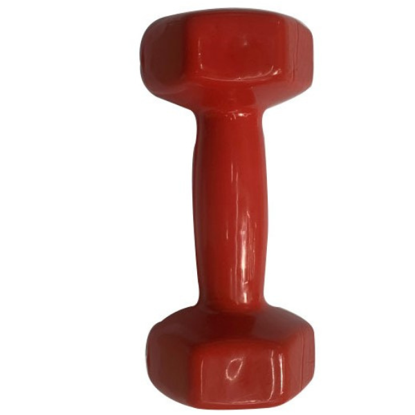 Ganteră pentru fitness,1 buc * 2 kg