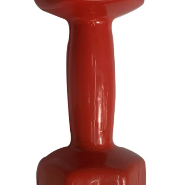 Ganteră pentru fitness,1 buc * 2 kg