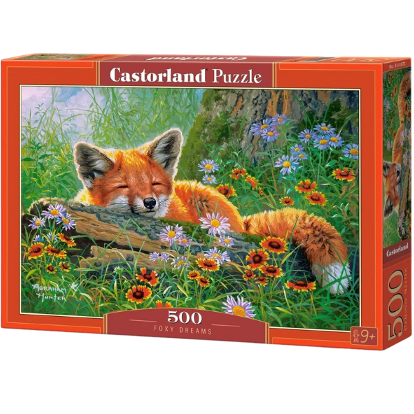 Puzzle 500 elemente