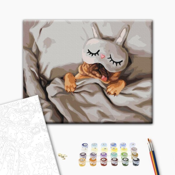 Pictură pe numere 40*50 cm (în cutie) – Frumoasa adormită