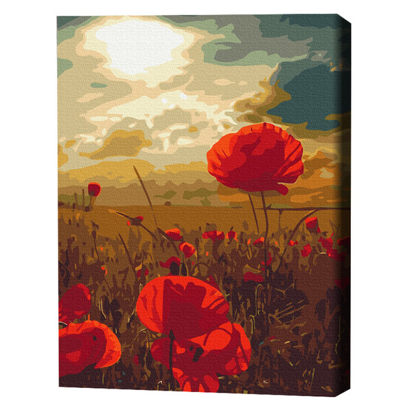 Cumpara  Creativitate/Logică - Pictură pe numere 40*50 cm (în cutie) – Maci ..