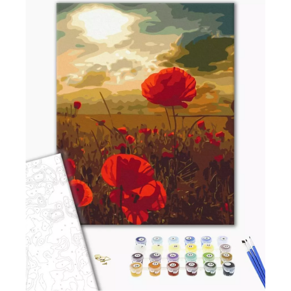 Pictură pe numere 40*50 cm (în cutie) – Maci sub soarele arzător