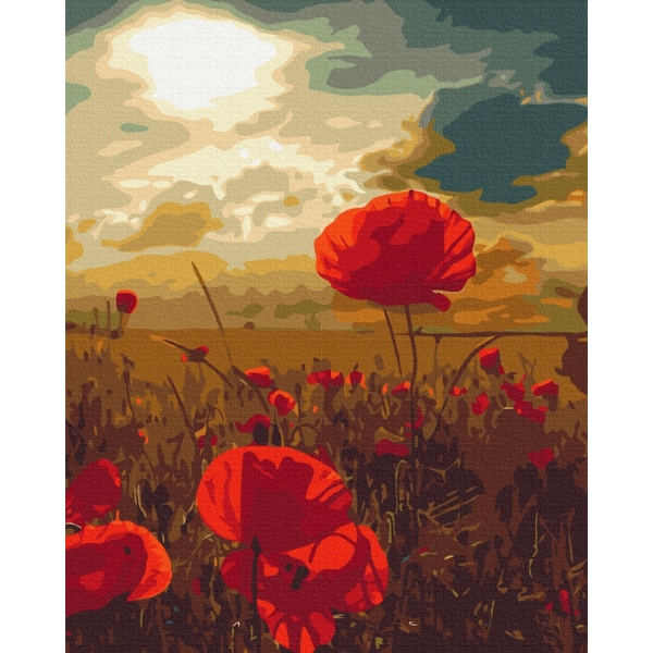 Pictură pe numere 40*50 cm (în cutie) – Maci sub soarele arzător