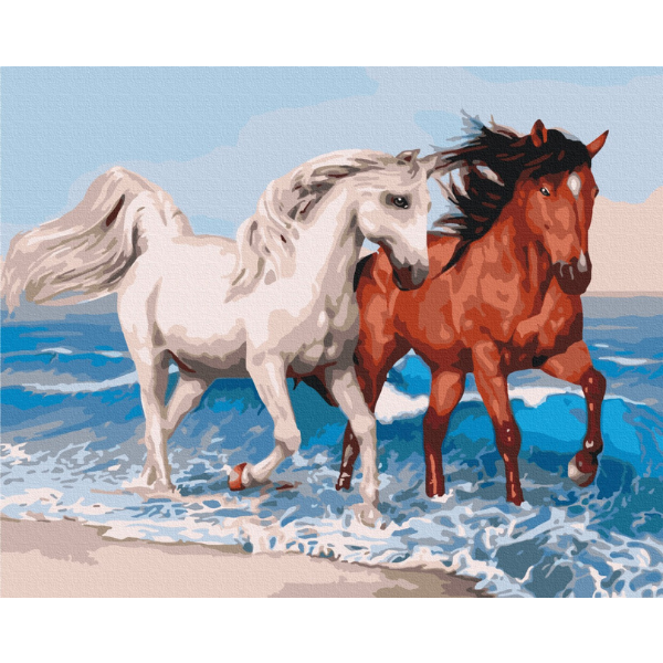 Pictură pe numere 40*50 cm (în cutie) – Cai pe coastă