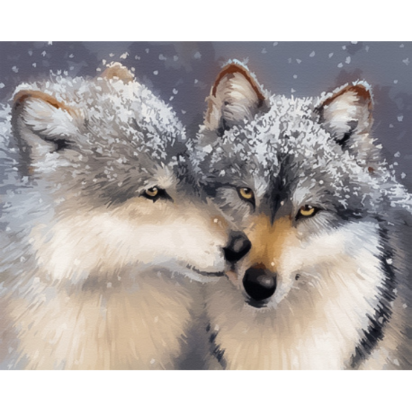 Pictură pe numere 40*50 cm (în cutie) – Sentiment tandru