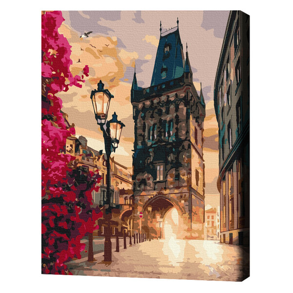 Cumpara  Creativitate/Logică - Pictură pe numere 40*50 cm (în cutie) – Praga..