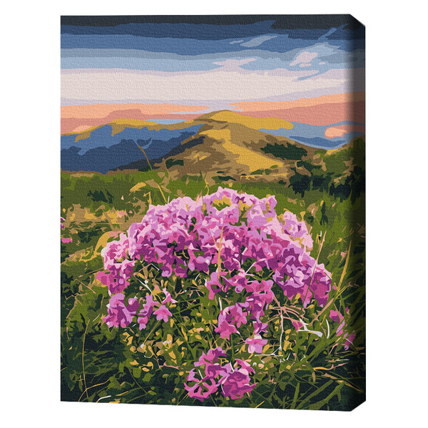 Cumpara  Picturi prin numere - Pictură pe numere 40*50 cm (în cutie) – Floar..