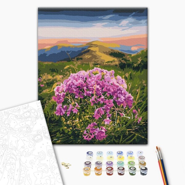 Pictură pe numere 40*50 cm (în cutie) – Floare de Carpați