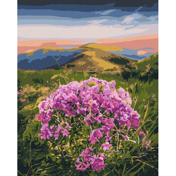 Pictură pe numere 40*50 cm (în cutie) – Floare de Carpați