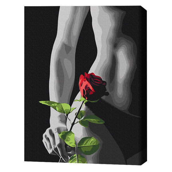 Pictură pe numere 40*50 cm (în cutie) – Accent elegant
