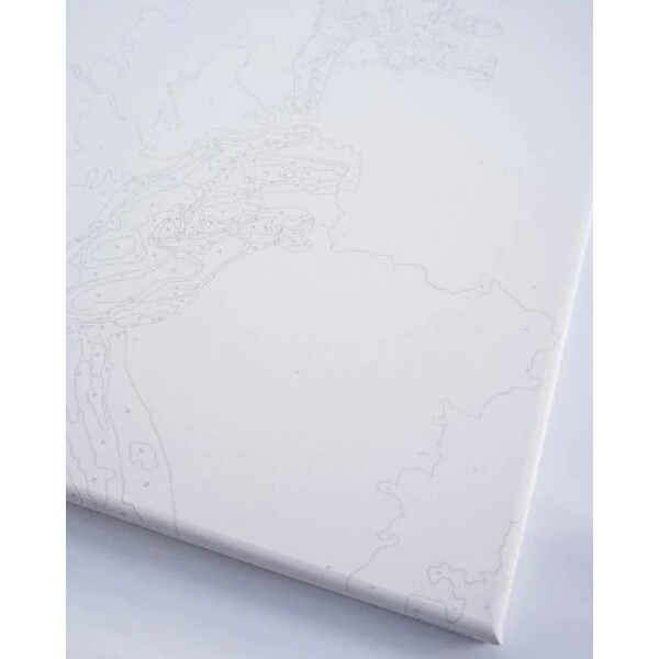 Pictură pe numere 40*50 cm (în cutie) – Accent elegant