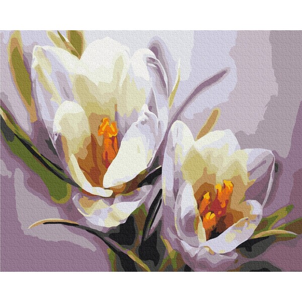 Pictură pe numere 40*50 cm (în cutie) – Crocuși
