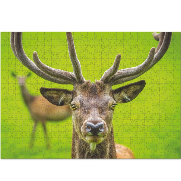 Puzzle „Cerb grațios”, seria Lumea animalelor, 500 elem.