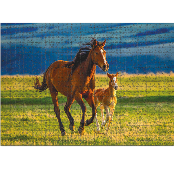 Puzzle „Învățarea mânzului”, seria Peisaje, 1000 elem.