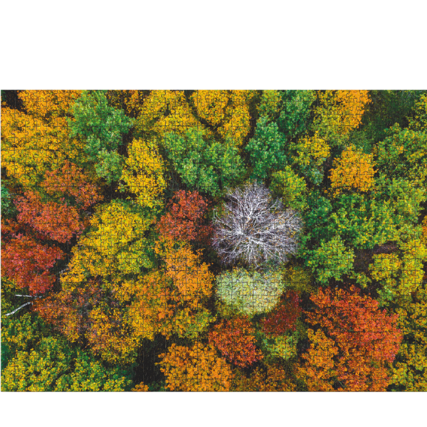 Puzzle „Satul Dzembronya. Ucraina”, seria Peisaje, 1000 elem.