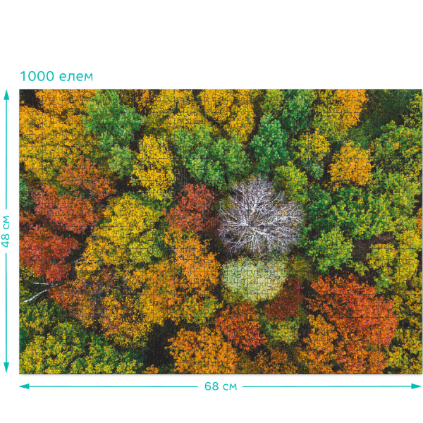 Puzzle „Satul Dzembronya. Ucraina”, seria Peisaje, 1000 elem.