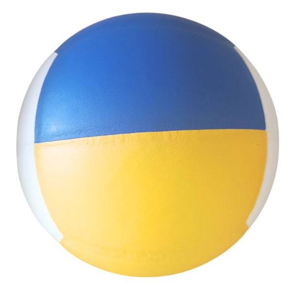Minge de volei Daiweisi