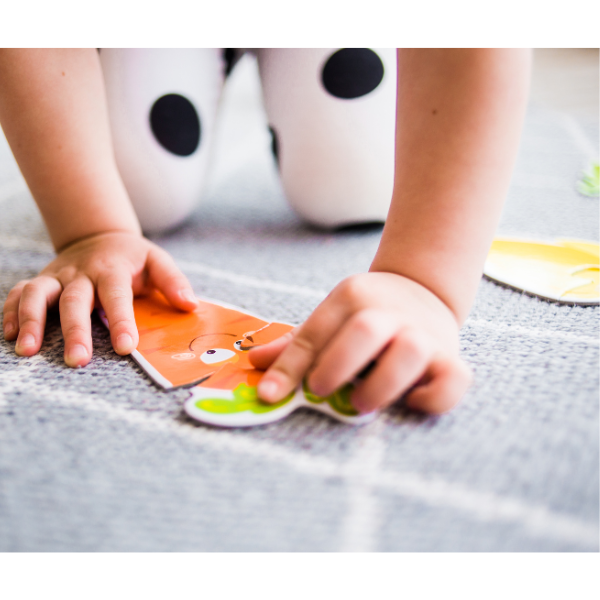 Puzzle 6 in 1 „Animale domestice”
