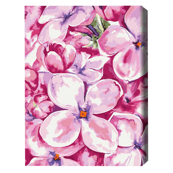 Cumpara  Creativitate/Logică - Pictură pe numere 40*50 cm (în cutie) – Grădi..