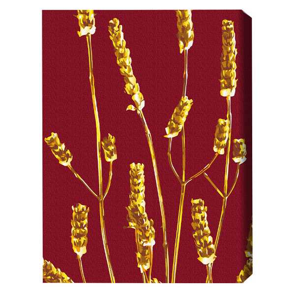 Cumpara  Picturi prin numere - Pictură pe numere 40*50 cm (în cutie) – Plant..