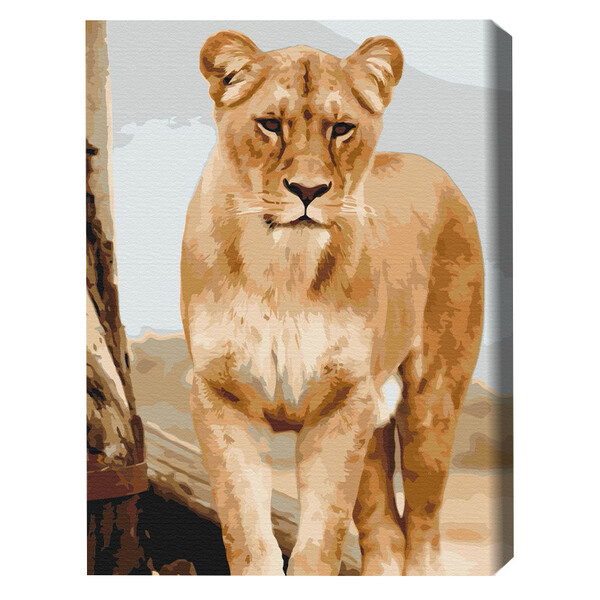 Cumpara  Picturi prin numere - Pictură pe numere 40×50 cm (fără cutie)  –  T..