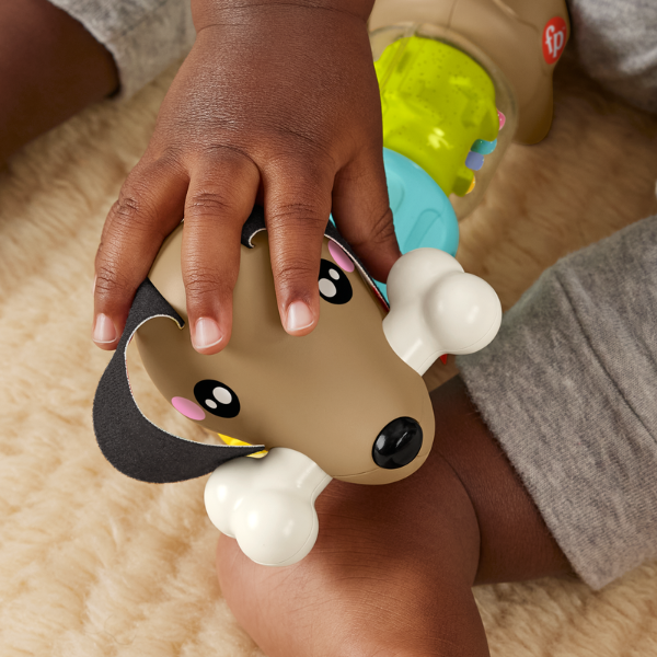 Fisher-Price Развивающая игрушка «Такса»