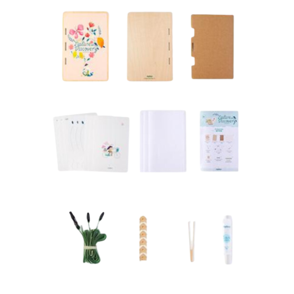 Set de Creație „Descoperim natura”