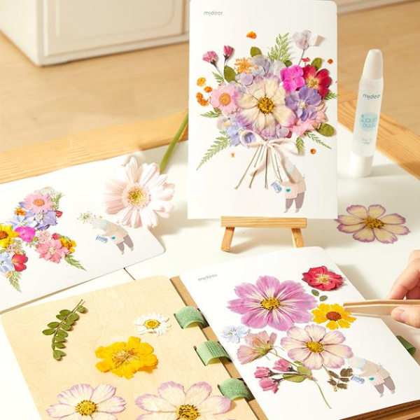 Set de Creație „Descoperim natura”