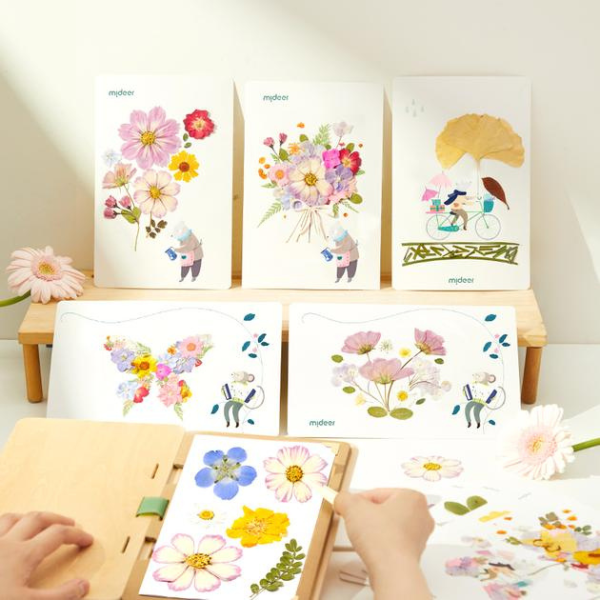 Set de Creație „Descoperim natura”