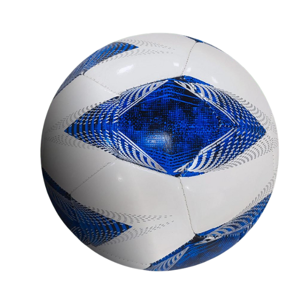 Minge de fotbal EVA