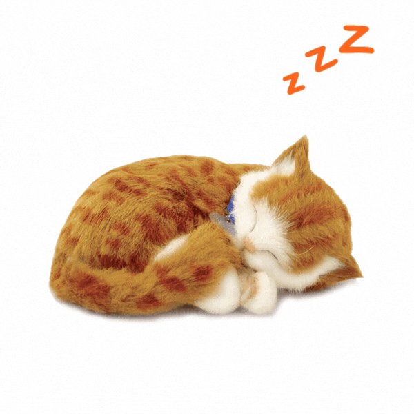 Jucărie interactivă „Pisicuța tabby portocalie”