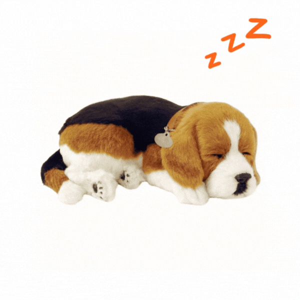 Jucărie interactivă „Beagle”