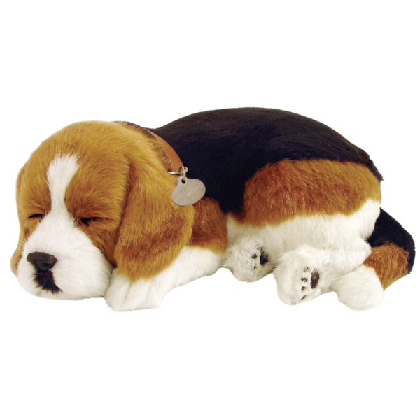 Jucărie interactivă „Beagle”