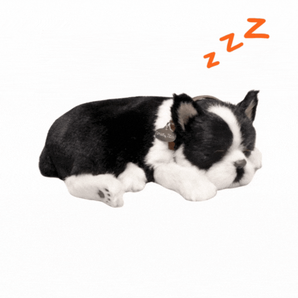 Jucărie interactivă „Terrier Boston”