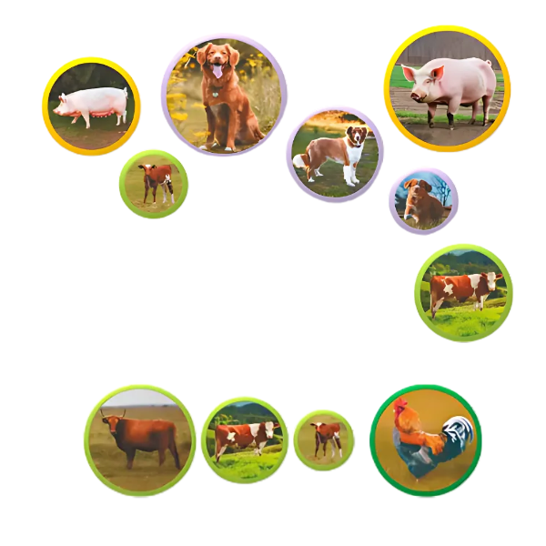 Joc magnetic „Familiile de animale: ferma”, 36 elem.