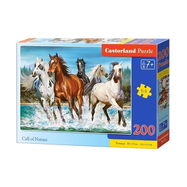 Puzzle 200 elemente