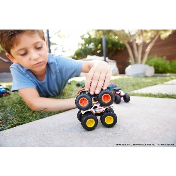 Hot Wheels “Monster Trucks” masina de baza 1:64 (as).