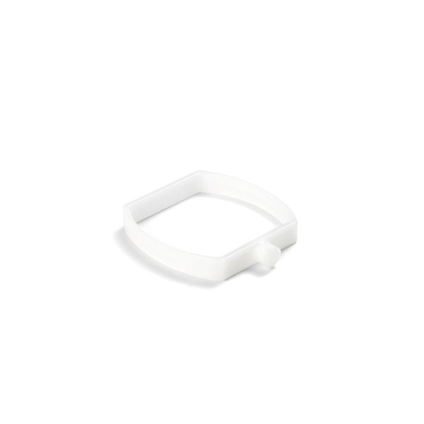 Cumpara  Piscine și accesorii - Fixator cu arc..