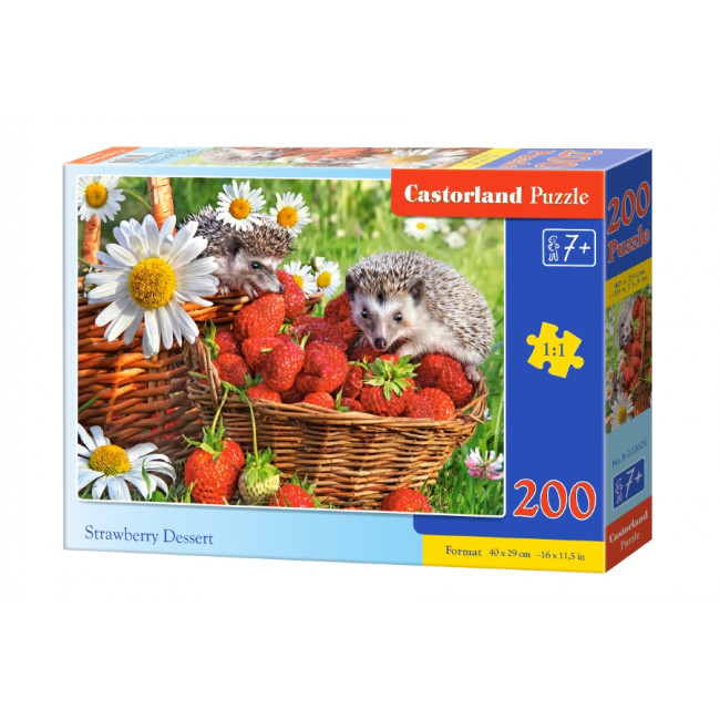 Puzzle 200 elemente