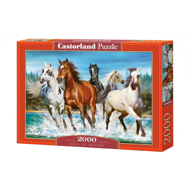 Puzzle 2000 elemente