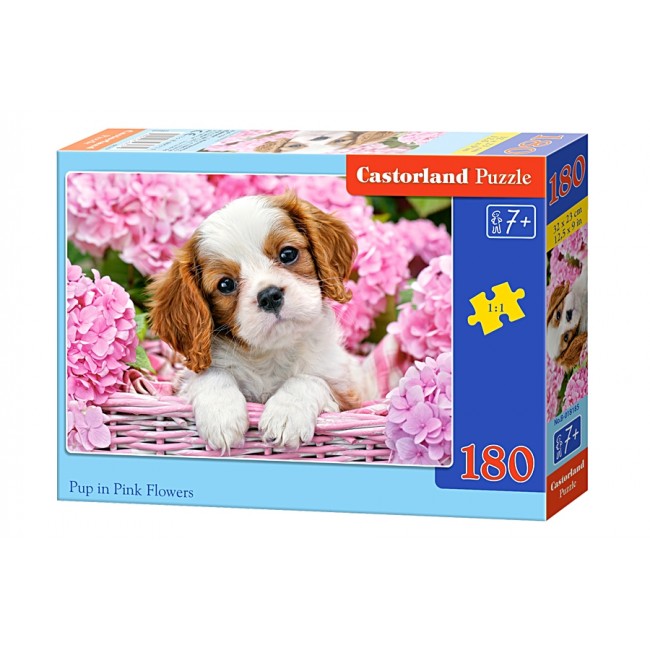 Puzzle 180 elemente